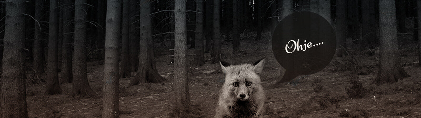 kommabei-shop-404-seite